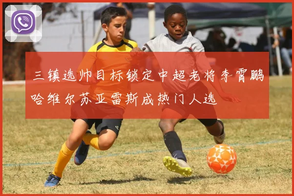 三镇选帅目标锁定中超老将李霄鹏哈维尔苏亚雷斯成热门人选